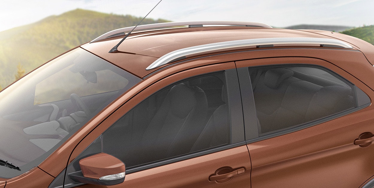Ford Freestyle Metallic Roof Rails